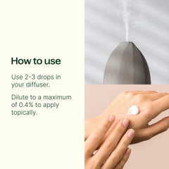 Dalmatian Sage Essential Oil
