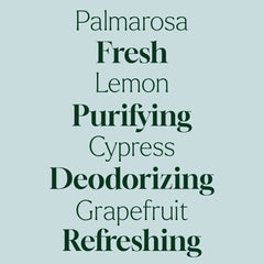 Deodorizing Trio