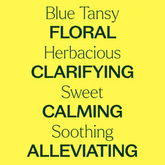 Blue Tansy Essential Oil 1 kg
