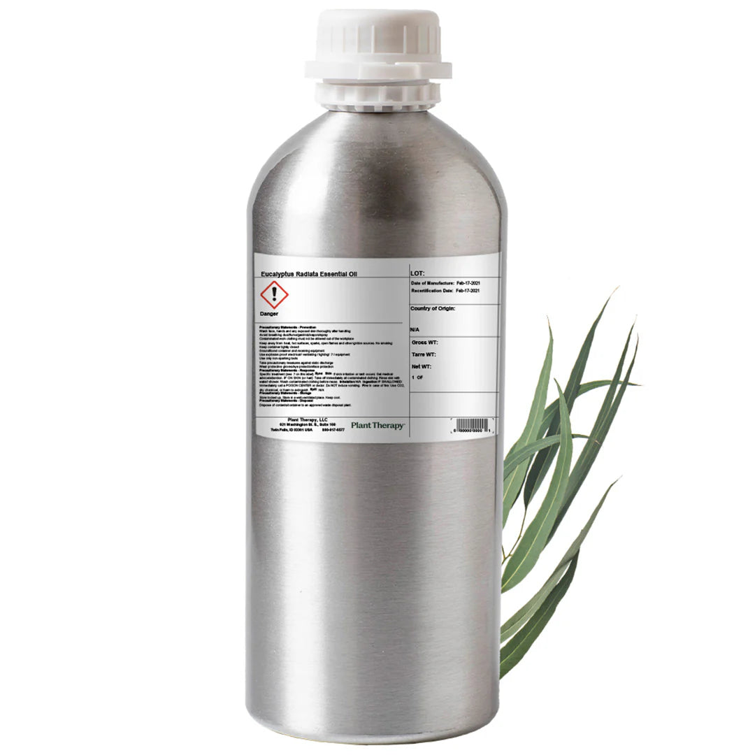 Eucalyptus Radiata Essential Oil 1 kg