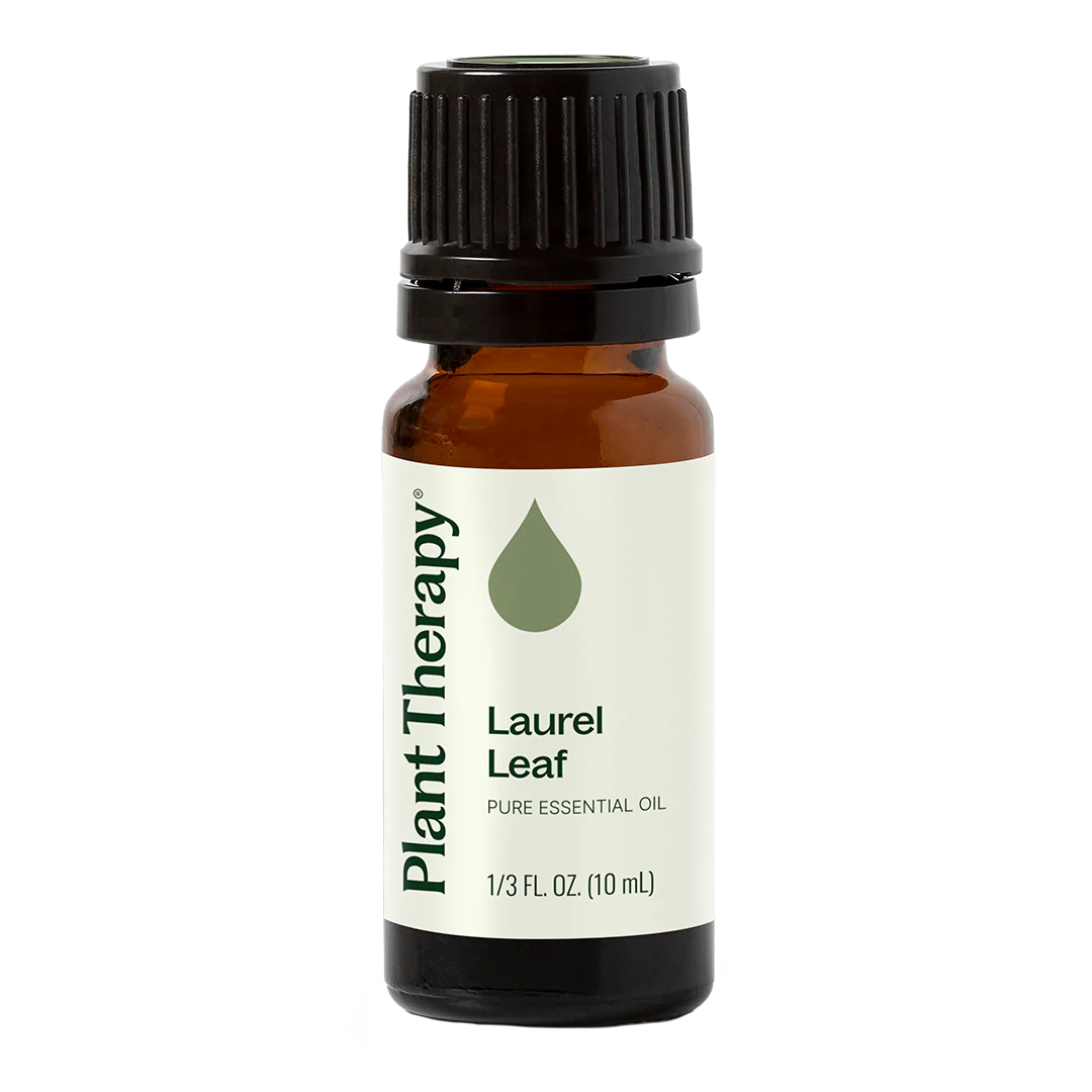 Laurel Leaf Essential Oil